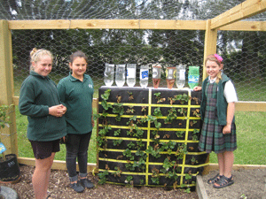 Ellish, Aimee and Anna with Spring Creek School's newly enclosed strawberry wall.